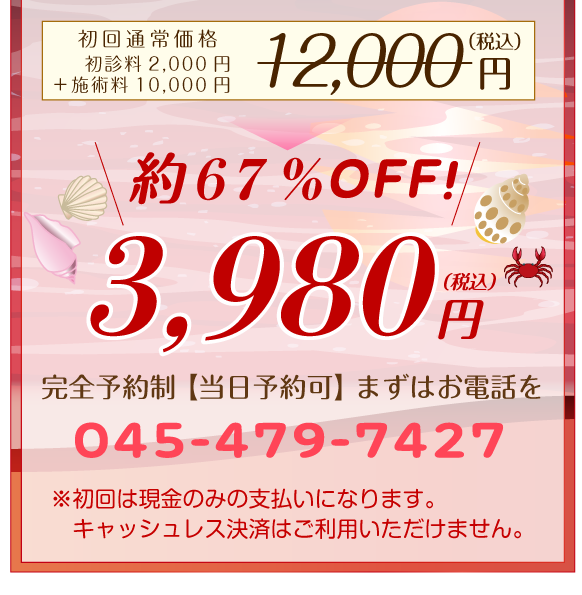 ホームページ特別キャンペーン